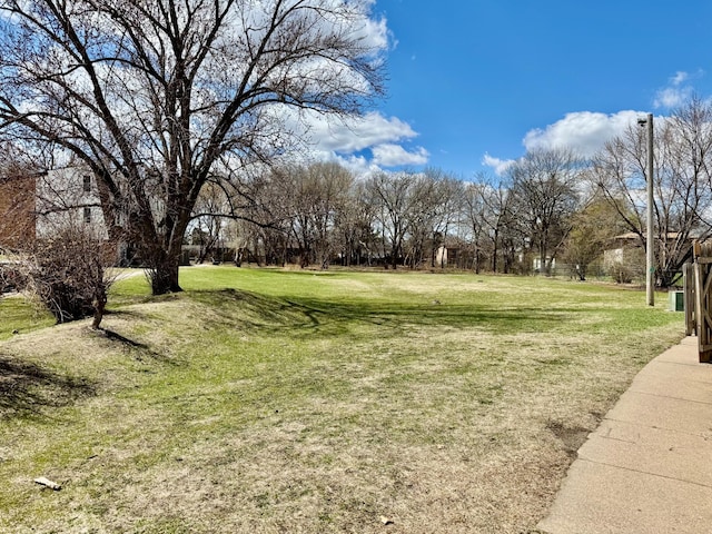 view of green lawn