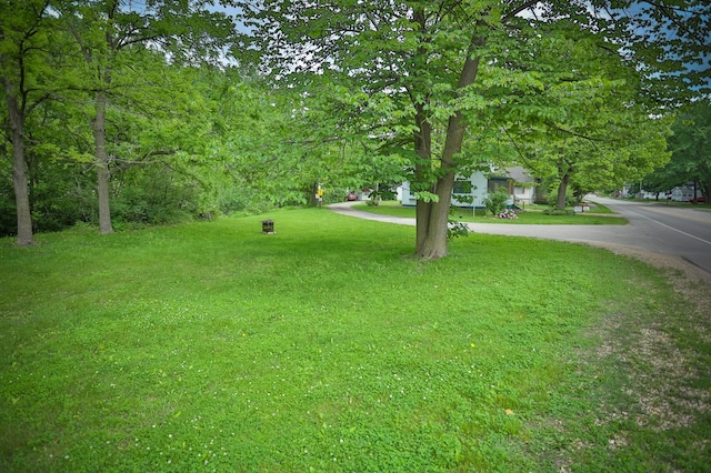 W340 State Road 29, Spring Valley, WI 54767 - view of green lawn