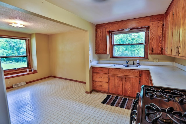 W340 State Road 29, Spring Valley, WI 54767 - kitchen with black gas stove, light countertops, and brown cabinets