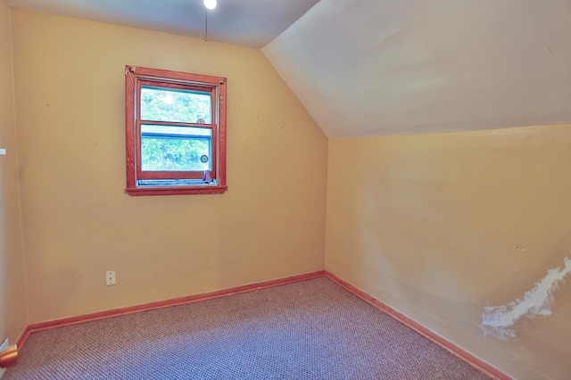 W340 State Road 29, Spring Valley, WI 54767 - bonus room featuring lofted ceiling and carpet