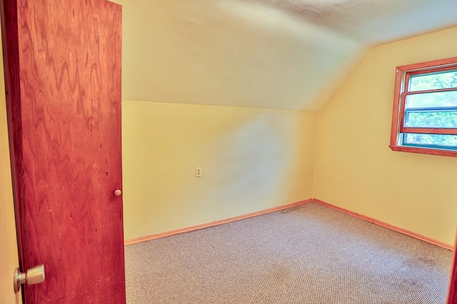 W340 State Road 29, Spring Valley, WI 54767 - additional living space featuring vaulted ceiling and carpet
