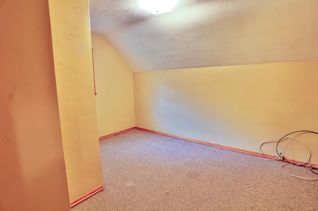 W340 State Road 29, Spring Valley, WI 54767 - bonus room with vaulted ceiling and carpet flooring