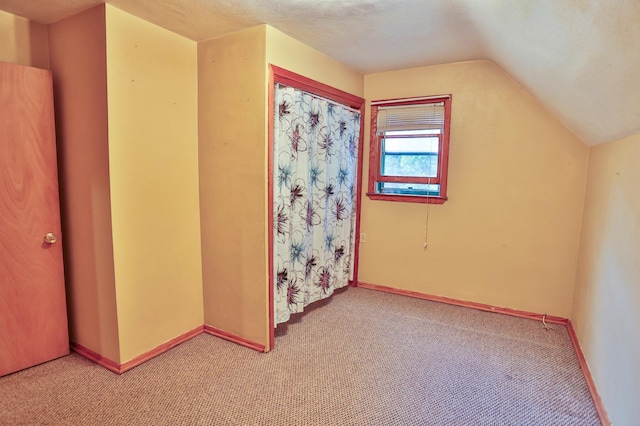 W340 State Road 29, Spring Valley, WI 54767 - additional living space featuring light carpet and lofted ceiling