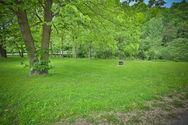 W340 State Road 29, Spring Valley, WI 54767 - view of green lawn with a forest view