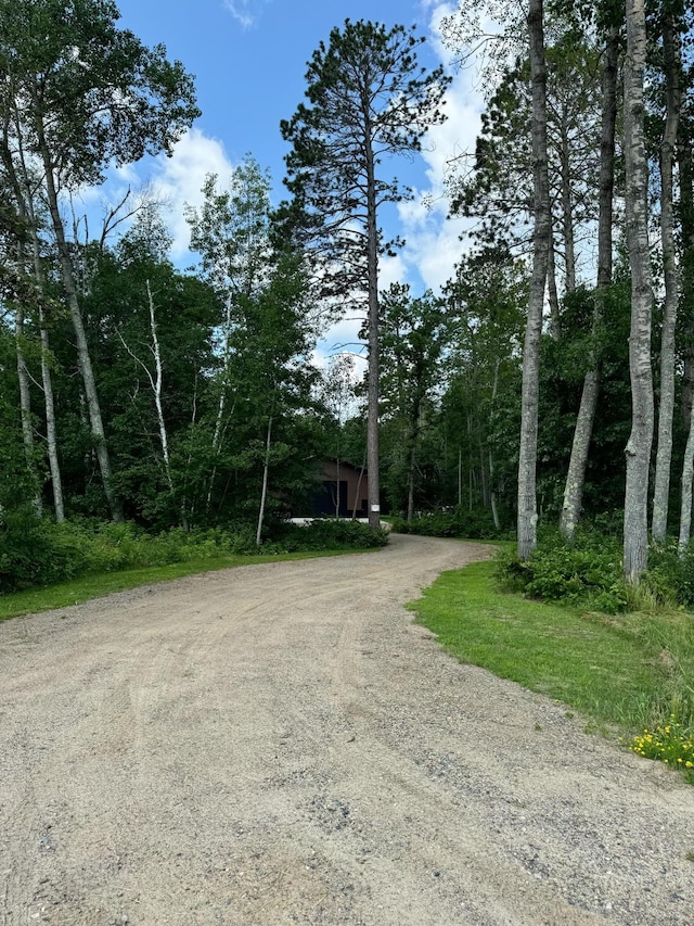 view of road featuring driveway