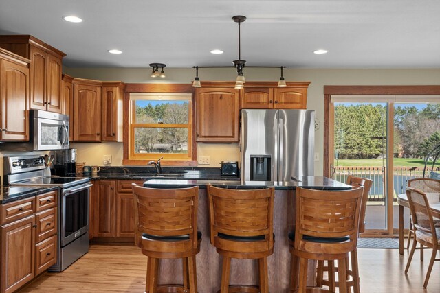 kitchen featuring appliances with stainless steel finishes, a wealth of natural light, a sink, and light wood-type flooring
