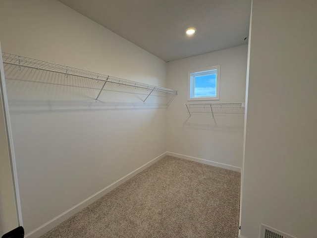 walk in closet featuring carpet floors and visible vents