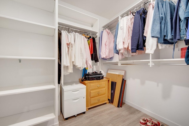 11163 184th Cir NW, Elk River, MN 55330 - spacious closet featuring light wood-style flooring