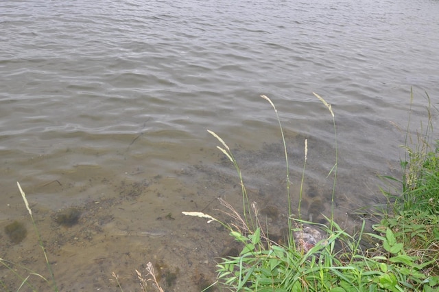 10179 Mounds Point Dr NW, Leech Lake Twp, MN 56633 - water view