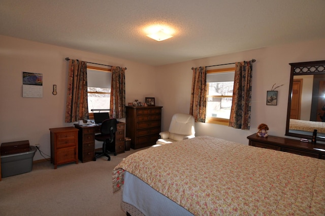 10179 Mounds Point Dr NW, Leech Lake Twp, MN 56633 - bedroom featuring carpet flooring and an office area