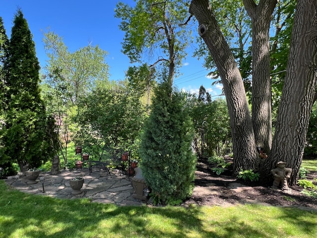 1260 Como Blvd E, Saint Paul, MN 55117 - view of green lawn featuring a patio area