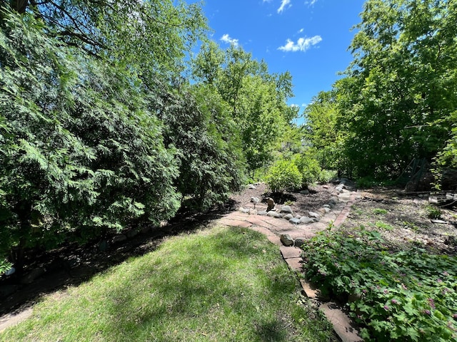 1260 Como Blvd E, Saint Paul, MN 55117 - view of yard