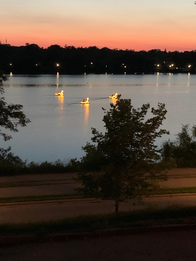 1260 Como Blvd E, Saint Paul, MN 55117 - water view