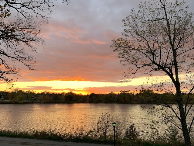 1260 Como Blvd E, Saint Paul, MN 55117 - water view