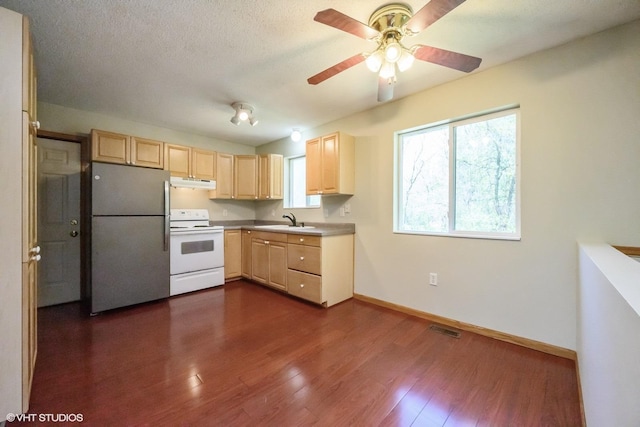 14617 284 1/2 Ave NW, Blue Hill Twp, MN 55398 - photo 4