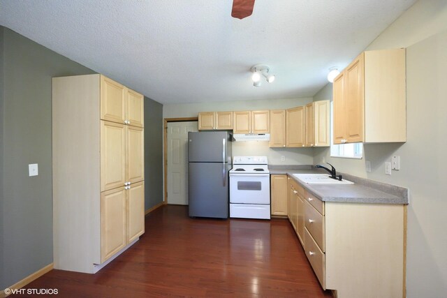 14617 284 1/2 Ave NW, Blue Hill Twp, MN 55398 - photo 5