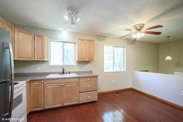 14617 284 1/2 Ave NW, Blue Hill Twp, MN 55398 - photo 6