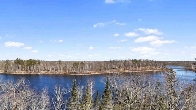 27406 Cuyuna Trl, Ross Lake Twp, MN 56431 - photo 42