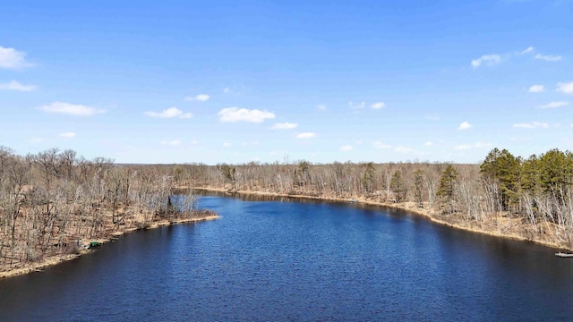 27406 Cuyuna Trl, Ross Lake Twp, MN 56431 - photo 43