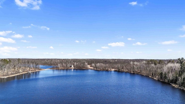 27406 Cuyuna Trl, Ross Lake Twp, MN 56431 - photo 44