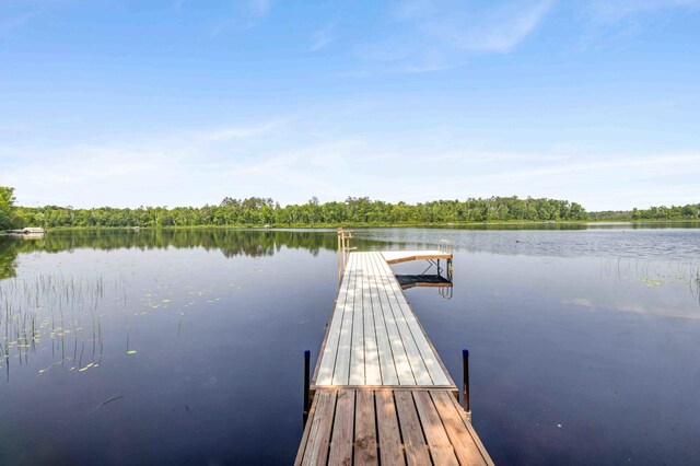27406 Cuyuna Trl, Ross Lake Twp, MN 56431 - photo 4