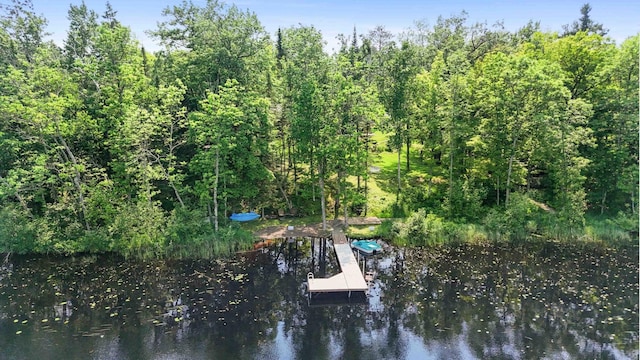27406 Cuyuna Trl, Ross Lake Twp, MN 56431 - photo 6