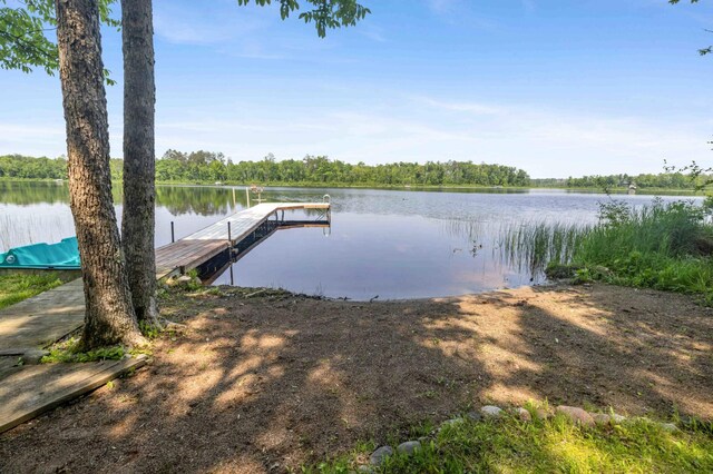 27406 Cuyuna Trl, Ross Lake Twp, MN 56431 - photo 5