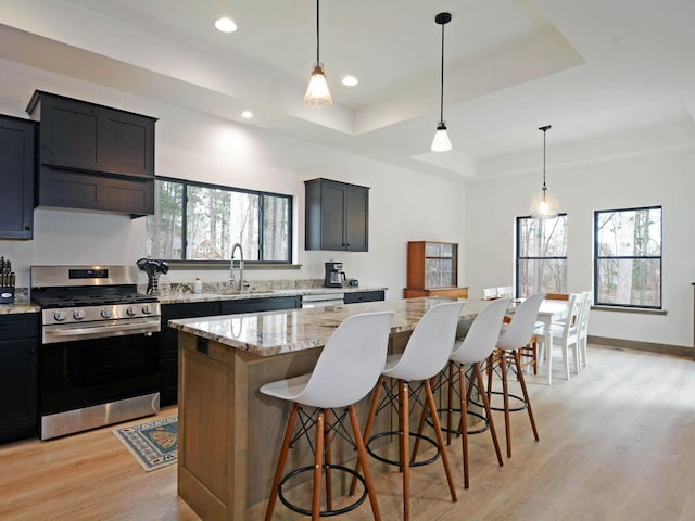 kitchen featuring a sink, light wood-type flooring, a tray ceiling, a breakfast bar area, and gas stove