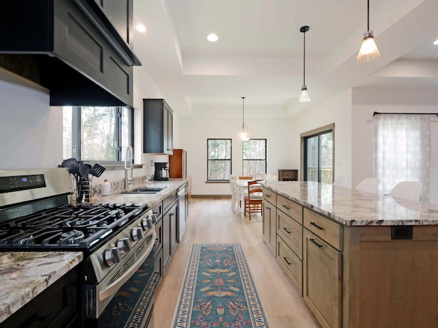 kitchen featuring a sink, a raised ceiling, a wealth of natural light, and stainless steel appliances