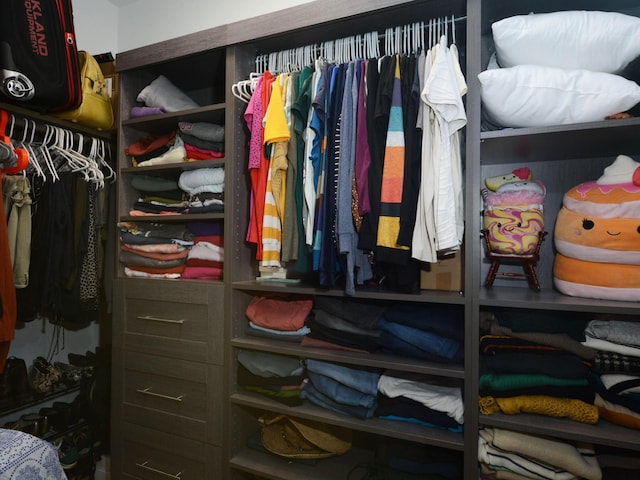 view of walk in closet