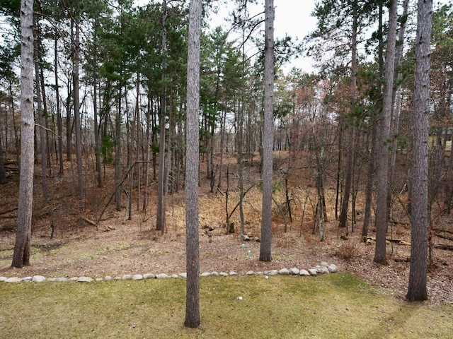 view of local wilderness