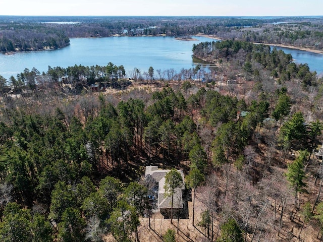 birds eye view of property featuring a water view and a view of trees