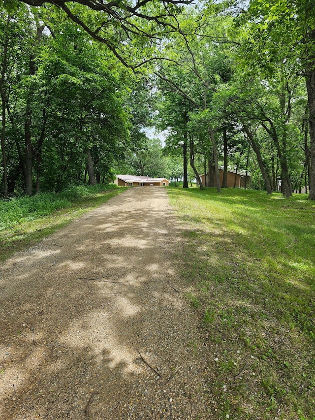 6788 39th Ave NW, Garfield, MN 56332 - view of dirt / gravel driveway