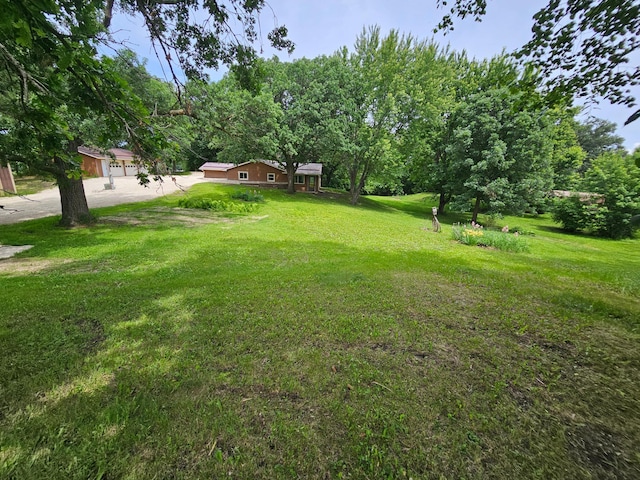 6788 39th Ave NW, Garfield, MN 56332 - view of green lawn with concrete driveway
