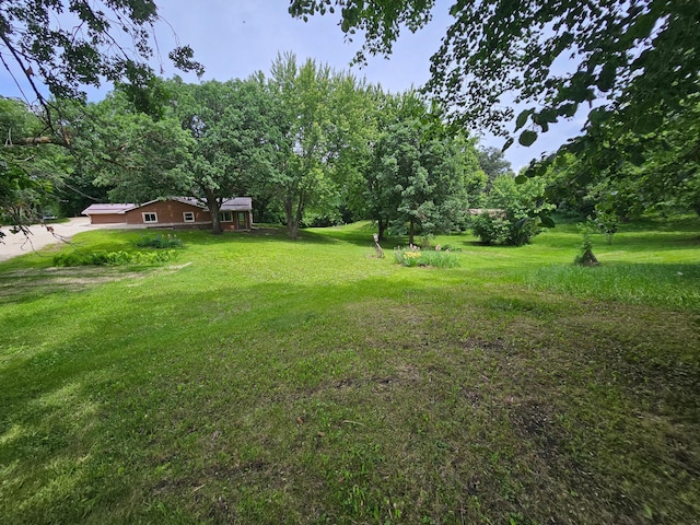 6788 39th Ave NW, Garfield, MN 56332 - view of green lawn with a wooded view