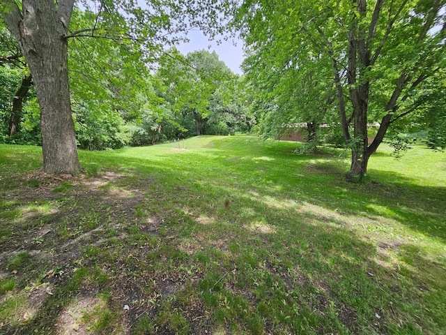 6788 39th Ave NW, Garfield, MN 56332 - view of grassy yard featuring a view of trees