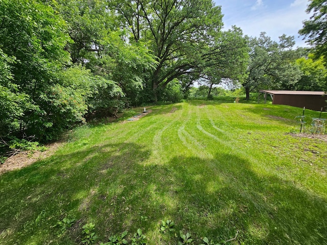 6788 39th Ave NW, Garfield, MN 56332 - view of grassy yard