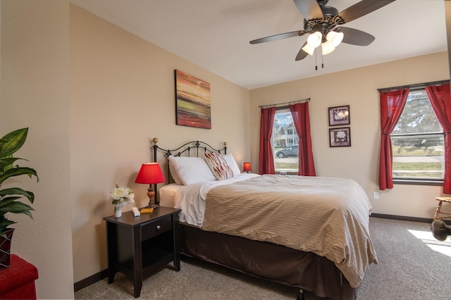 314 High St, Lake City, MN 55041 - bedroom with baseboards, carpet flooring, and multiple windows