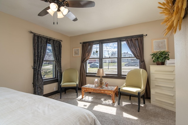 314 High St, Lake City, MN 55041 - bedroom with a ceiling fan, carpet, and multiple windows