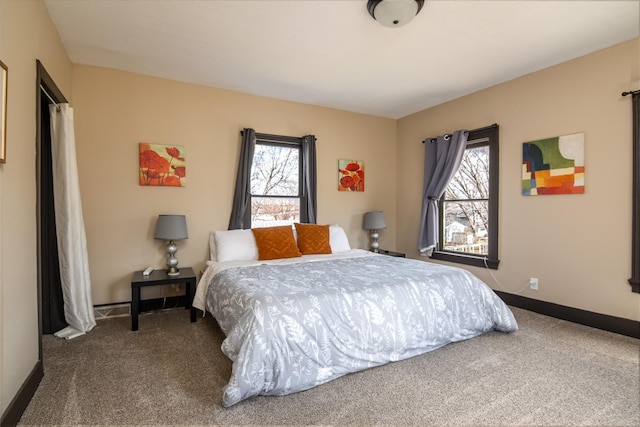 314 High St, Lake City, MN 55041 - carpeted bedroom featuring baseboards and multiple windows