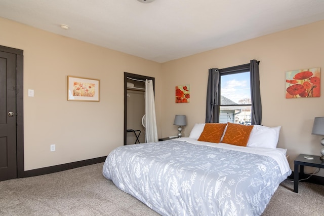 314 High St, Lake City, MN 55041 - bedroom with a closet, baseboards, and light carpet