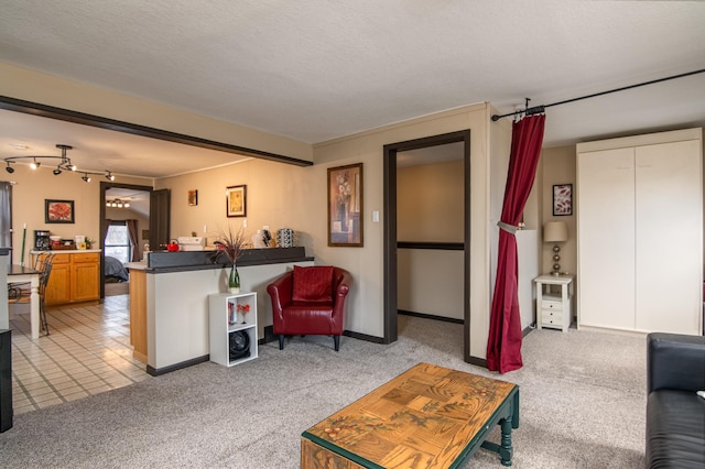 314 High St, Lake City, MN 55041 - living area with a textured ceiling, baseboards, and light carpet