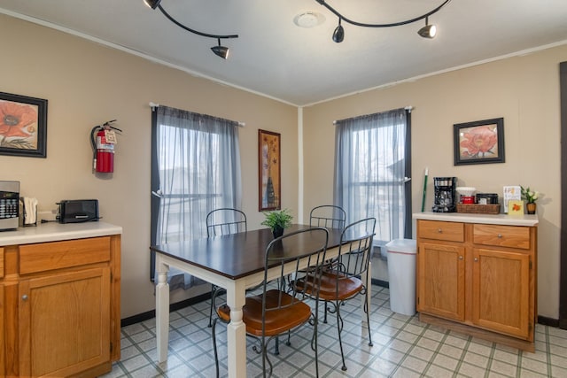 314 High St, Lake City, MN 55041 - dining room with plenty of natural light, ornamental molding, and light floors