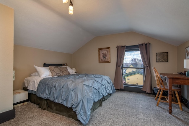 314 High St, Lake City, MN 55041 - bedroom with vaulted ceiling and carpet floors