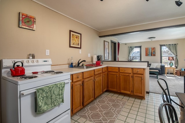 314 High St, Lake City, MN 55041 - kitchen with a sink, white range with electric cooktop, crown molding, a peninsula, and brown cabinetry