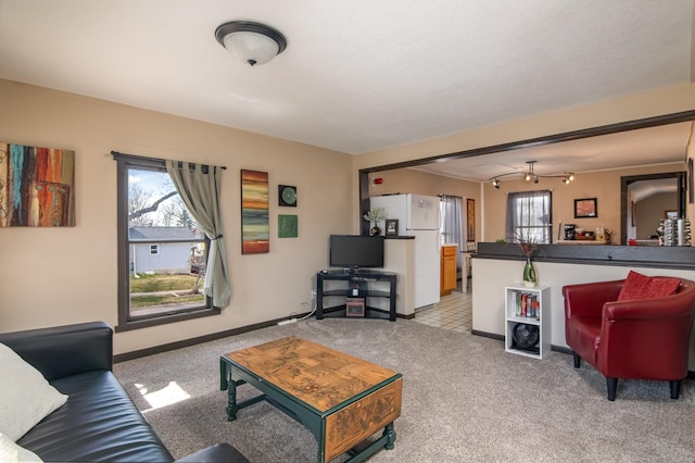314 High St, Lake City, MN 55041 - living room featuring baseboards and light colored carpet