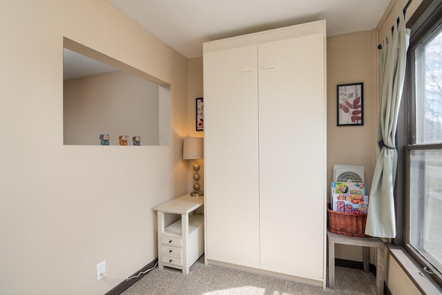314 High St, Lake City, MN 55041 - mudroom featuring carpet flooring