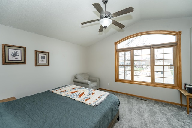 506 6th Pl NE, Byron, MN 55920 - carpeted bedroom with baseboards, visible vents, a ceiling fan, and lofted ceiling