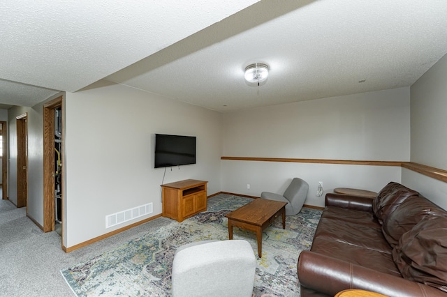 506 6th Pl NE, Byron, MN 55920 - living room featuring carpet floors, a textured ceiling, baseboards, and visible vents