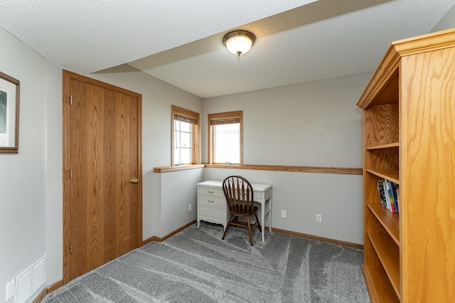 506 6th Pl NE, Byron, MN 55920 - carpeted home office featuring visible vents, a textured ceiling, and baseboards